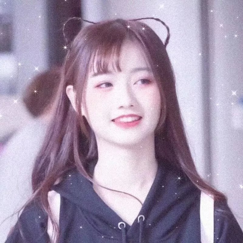 众星拱月封面